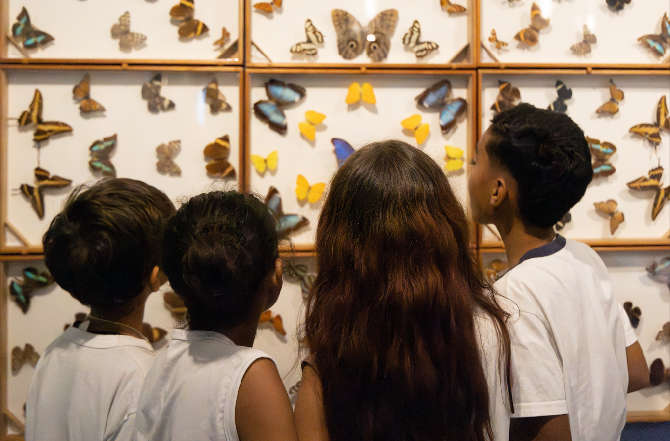 Estação Museu Nacional abre as portas para a comunidade escolar