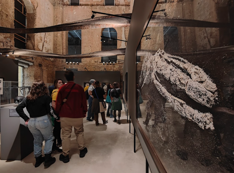 Oficinas gratuitas no Museu Nacional apresentam o processo criativo do artista Vik Muniz